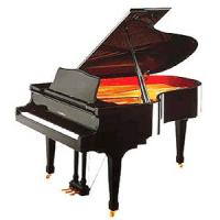 SK-2 . SK-3 . SK-5 . SK-6 . SK-7 